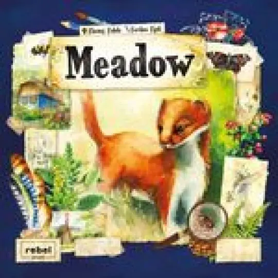 Portada Meadow
